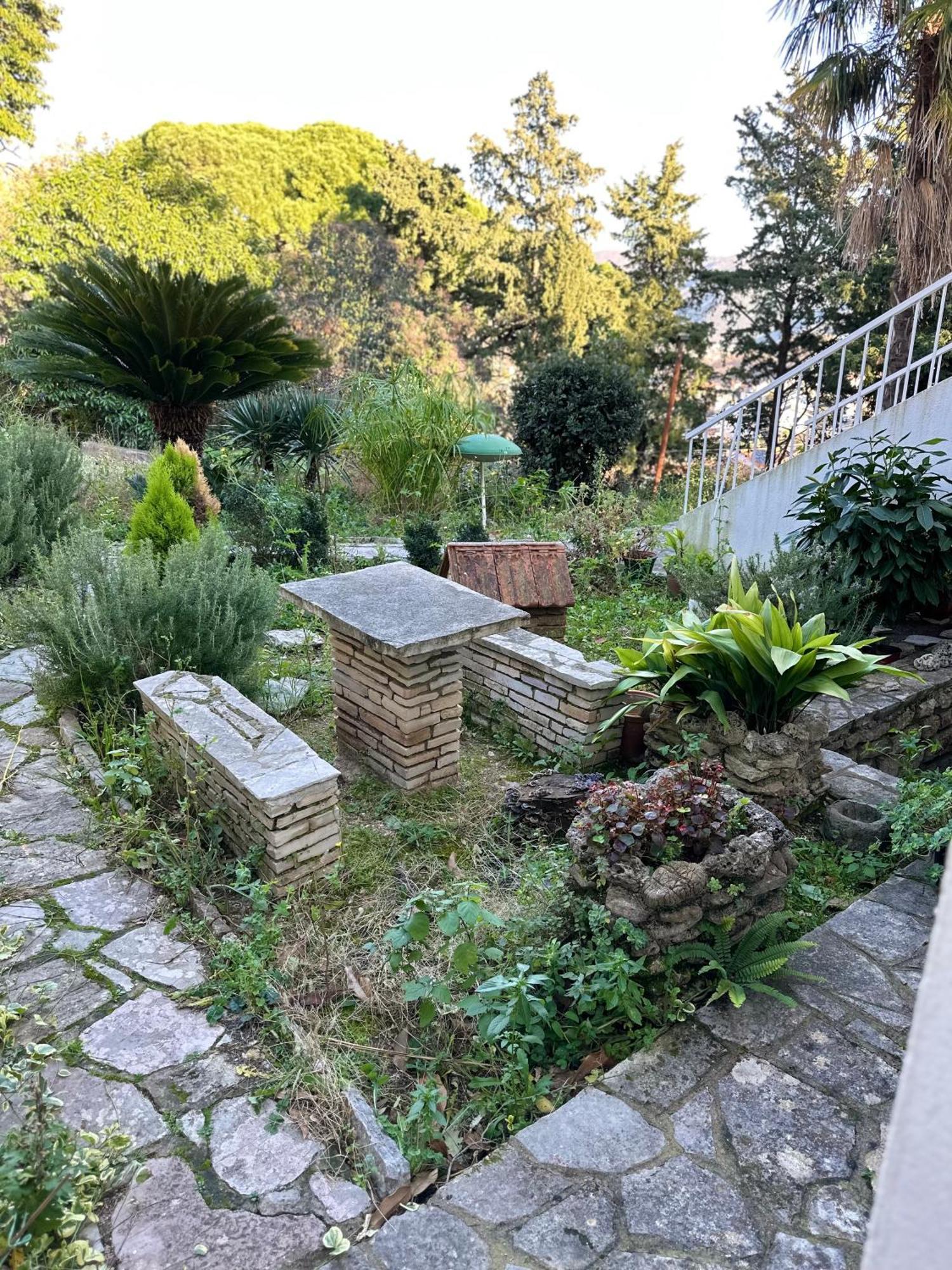 Studio Apartment Palma Herceg Novi Dış mekan fotoğraf